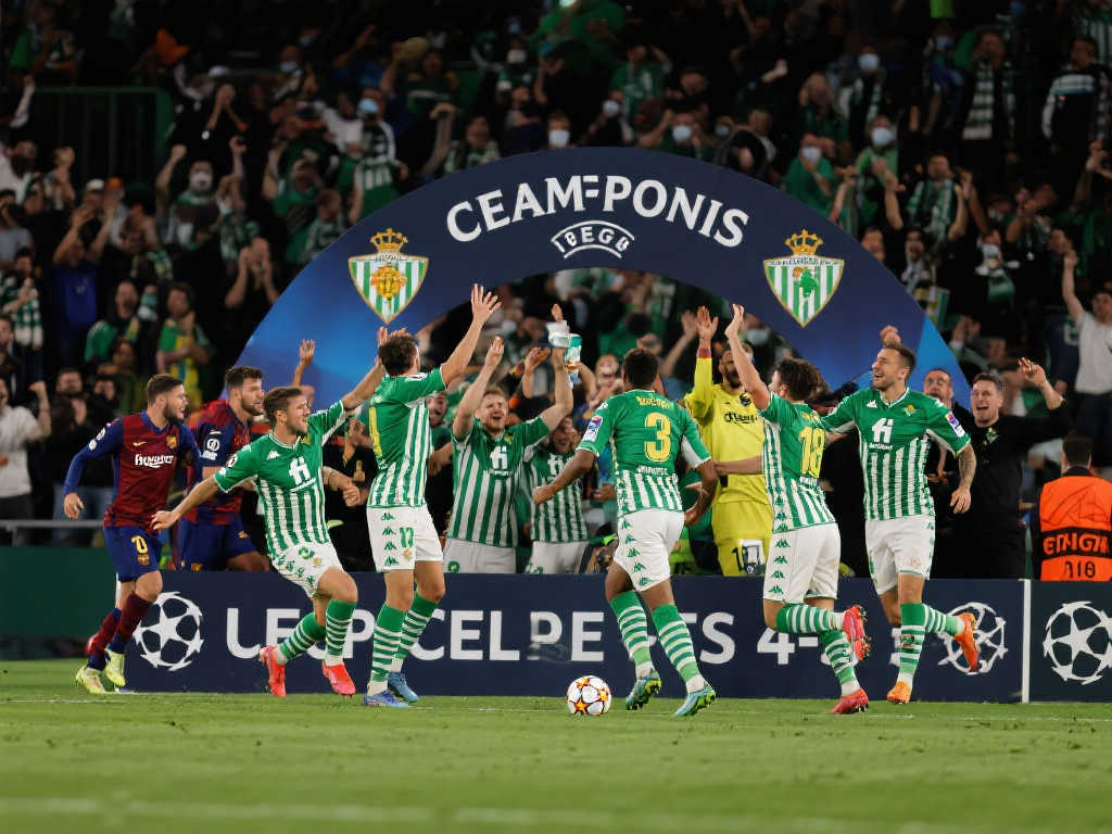 仅关乎多纳 仅关乎多纳