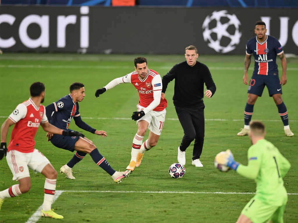 区域的协作 区域的协作